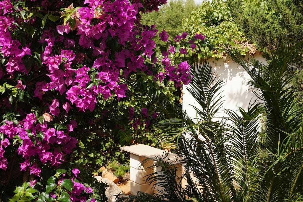 Villa Cala Mendia Cala Mandia  Exteriör bild
