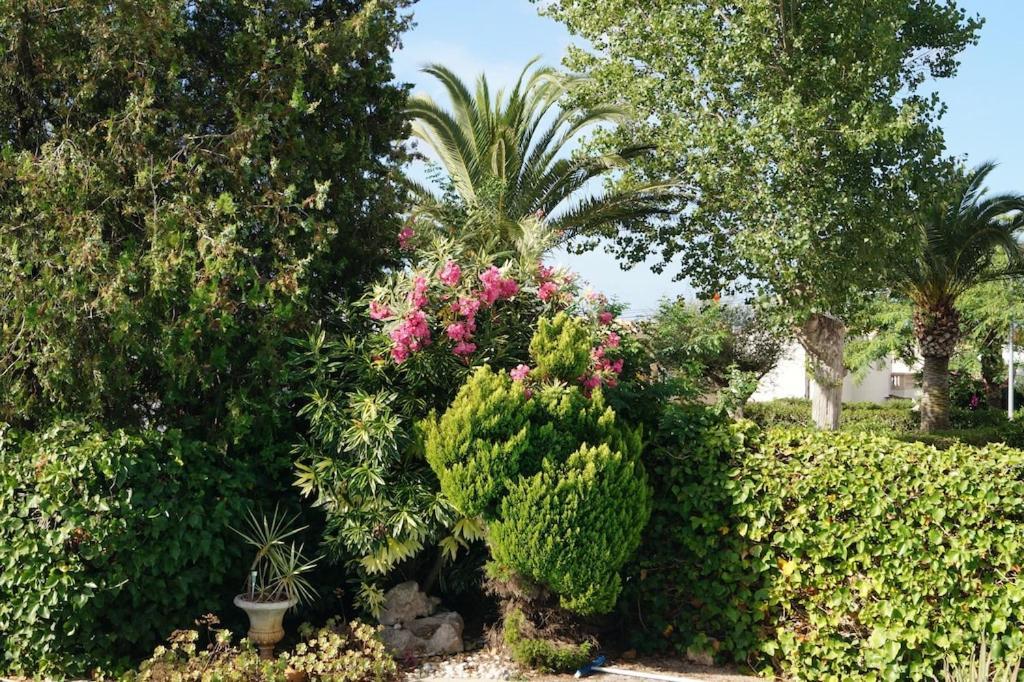 Villa Cala Mendia Cala Mandia  Exteriör bild